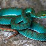 Yahoo entertainment home