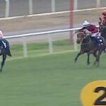 Smart Latch (foto) venceu três corridas em sua carreira, mas quebrou a perna na última corrida em outubro. Ela ganhou 1.125.000 liras turcas (£ 19.200) em prêmios em dinheiro