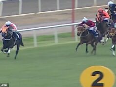 Indignação quando um cavalo de corrida campeão é morto e servido a clientes involuntários em um refeitório administrado pelo conselho Smart Latch (foto) venceu três corridas em sua carreira, mas quebrou a perna na última corrida em outubro. Ela ganhou 1.125.000 liras turcas (£ 19.200) em prêmios em dinheiro