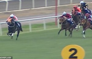 Indignação quando um cavalo de corrida campeão é morto e servido a clientes involuntários em um refeitório administrado pelo conselho Smart Latch (foto) venceu três corridas em sua carreira, mas quebrou a perna na última corrida em outubro. Ela ganhou 1.125.000 liras turcas (£ 19.200) em prêmios em dinheiro