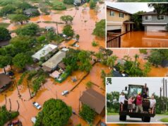 Inundações repentinas no Havaí causam estragos enquanto barragem de 120 anos ameaça romper, 230 pessoas são resgatadas Inundações repentinas no Havaí causam estragos enquanto barragem de 120 anos ameaça romper, 230 pessoas são resgatadas