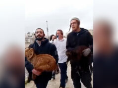 Israelenses tentam realizar sacrifício de Páscoa em Al-Aqsa Israelenses tentam realizar sacrifício de Páscoa em Al-Aqsa