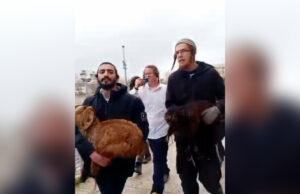 Israelenses tentam realizar sacrifício de Páscoa em Al-Aqsa Israelenses tentam realizar sacrifício de Páscoa em Al-Aqsa