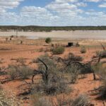 'Isso mudou nossas vidas': pastores de Upper Gascoyne dão as boas-vindas à chuva