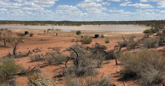 'Isso mudou nossas vidas': pastores de Upper Gascoyne dão as boas-vindas à chuva
