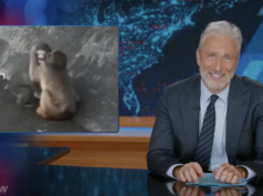 Jon Stewart tem uma reação brutal à nova namorada de Punch the Monkeys Jon Stewart tem uma reação brutal à nova namorada de Punch the Monkeys