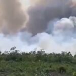 Kabut Asap Karhutla Ganggu Arus Mudik di Jalur Lintas Riau-Sumut