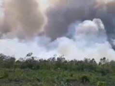 Kabut Asap Karhutla Ganggu Arus Mudik di Jalur Lintas Riau-Sumut Kabut Asap Karhutla Ganggu Arus Mudik di Jalur Lintas Riau-Sumut