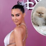 Kim Kardashian compartilha seus quatro novos filhotes após reação da PETA