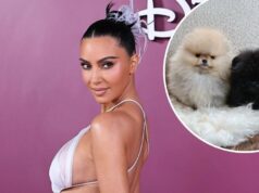 Kim Kardashian desafia a reação da PETA com fotos de seus quatro novos filhotes Kim Kardashian compartilha seus quatro novos filhotes após reação da PETA