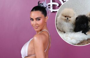 Kim Kardashian desafia a reação da PETA com fotos de seus quatro novos filhotes Kim Kardashian compartilha seus quatro novos filhotes após reação da PETA