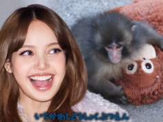 LISA do BLACKPINK visita Punch the Monkey e traz bicho de pelúcia de orangotango lisa blackpink soco principal getty