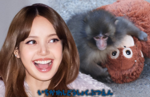 LISA do BLACKPINK visita Punch the Monkey e traz bicho de pelúcia de orangotango lisa blackpink soco principal getty