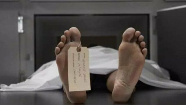 Limpeza da casa termina em terror! Este casal encontrou o Limpeza da casa termina em terror! Este casal encontrou o corpo de uma mulher de meia idade com apenas ossos restantes