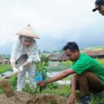 Lindungi Hutan, PNM Ajak Masyarakat Ikut Aksi Nyata