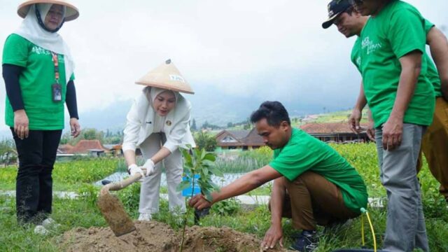 Lindungi Hutan, PNM Ajak Masyarakat Ikut Aksi Nyata Lindungi Hutan, PNM Ajak Masyarakat Ikut Aksi Nyata
