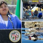 MacArthur Park se encheu de drogados e lixo após a limpeza do prefeito Bass e da vereadora