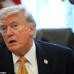 Os países da NATO reagiram a Donald Trump depois de ele ter exigido a sua ajuda para reabrir o Estreito de Ormuz