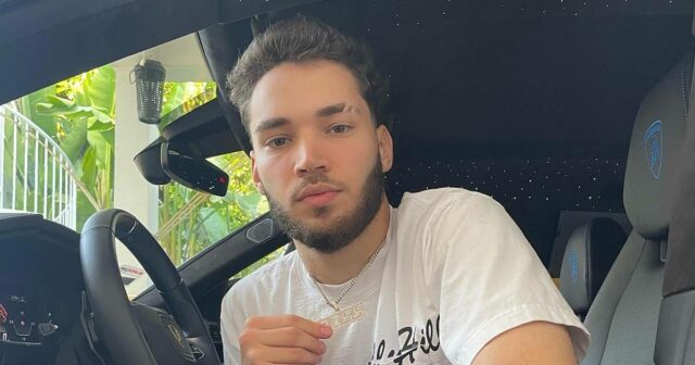 Madeline Ross Dead Streamer Adin Ross Irmã tinha 36 anos