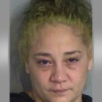 Mulher supostamente abusiva bateu em criança com remo de madeira, chamada de 'ajustador de atitude'