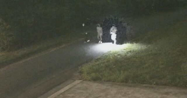 Mais dois presos após suposto sequestro e assassinato do avô de Sydney
