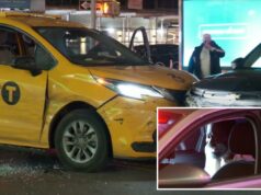 Maníaco armado sequestra táxi em Nova York para passeio – provocando perseguição policial selvagem que termina em acidente Um homem com um urso gritando do banco do motorista de um carro, com uma luz vermelha piscando visível no reflexo da janela do carro.