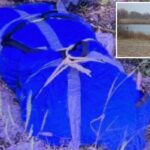 Marido, 75, preso após restos mortais desmembrados de sua esposa, muito mais jovem, encontrados espalhados em Nova York: policiais