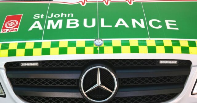 Menina atacada por cachorro nos subúrbios ao norte de Perth
