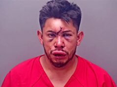 Menino de 13 anos nocauteia o pai para impedi-lo de supostamente estrangular uma mulher Yahoo news home