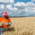 Mercado calmo de grãos mascara pressão crescente de preços caóticos de energia e combustíveis