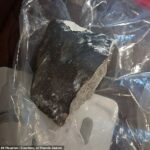 Na foto: O meteorito que caiu na casa de Sherrie James nos arredores de Houston no sábado