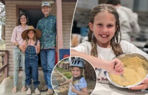 Minha adolescente foi sugada pelo poder viciante do tempo de tela – mas essa solução trouxe a verdadeira alegria para ela e nossa família mais perto do que nunca Minha adolescente foi sugada pelo poder viciante do tempo de tela - mas essa solução trouxe a verdadeira alegria para ela e nossa família mais perto do que nunca