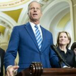 Miranda Devine: Senadores republicanos covardes correm para casa