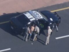 Momento bizarro, homem nu é preso na rodovia de Sacramento após acidente e tentativa de roubo de carro Policiais prendem uma pessoa ao lado de uma viatura.