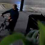 Imagens de CCTV compartilhadas com o Daily Mail mostram um idiota fumante invadindo um BMW M4 na North Road, em Cardiff