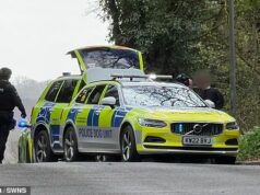 Momento em que um menino branco britânico de 15 anos é preso pela polícia armada depois que uma adolescente é esfaqueada na escola Este é o momento em que um menino de 15 anos é preso por policiais armados depois que uma adolescente é esfaqueada na escola