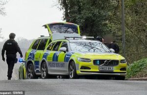 Momento em que um menino branco britânico de 15 anos é preso pela polícia armada depois que uma adolescente é esfaqueada na escola Este é o momento em que um menino de 15 anos é preso por policiais armados depois que uma adolescente é esfaqueada na escola