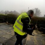 Catalin Stancu foi flagrado na filmagem da campainha do Ring roubando descaradamente o gato enquanto fazia entregas