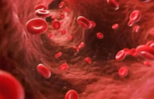 Mudanças estruturais nas proteínas do plasma sanguíneo podem refletir sinais precoces da doença de Alzheimer Mudanças estruturais nas proteínas do plasma sanguíneo podem refletir sinais precoces da doença de Alzheimer