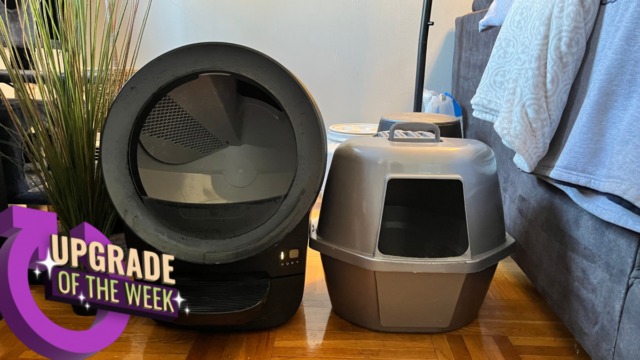 Mudei para caixas sanitárias autolimpantes em minha casa e gostaria de ter feito isso antes
