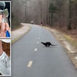 Mulher da Carolina do Norte atacada por lontra enquanto torcia por amigos na maratona – em ataque ‘extremamente incomum’