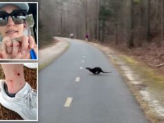 Mulher da Carolina do Norte atacada por lontra enquanto torcia por amigos na maratona – em ataque ‘extremamente incomum’ Mulher da Carolina do Norte atacada por lontra enquanto torcia por amigos na maratona – em ataque ‘extremamente incomum’