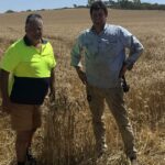 Não descarte um macarrão ao pensar nas variedades para a próxima temporada