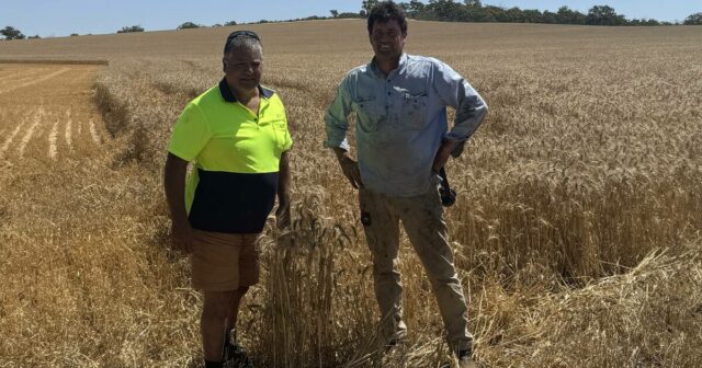 Não descarte um macarrão ao pensar nas variedades para a próxima temporada
