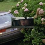 Nora Navas, vencedora de 'Black Bread' Goya, estrelará 'The Bastard Daughter' (EXCLUSIVO)