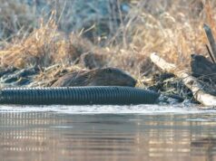 O Serviço de Parques Nacionais começa a drenar o lago de castores no Parque Militar Nacional de Gettysburg Yahoo news home