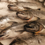 O aquecimento das águas ameaça o abastecimento de frutos do mar