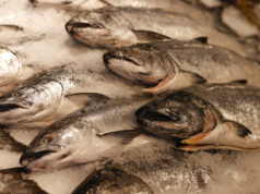 O aquecimento das águas ameaça o abastecimento de frutos do mar O aquecimento das águas ameaça o abastecimento de frutos do mar