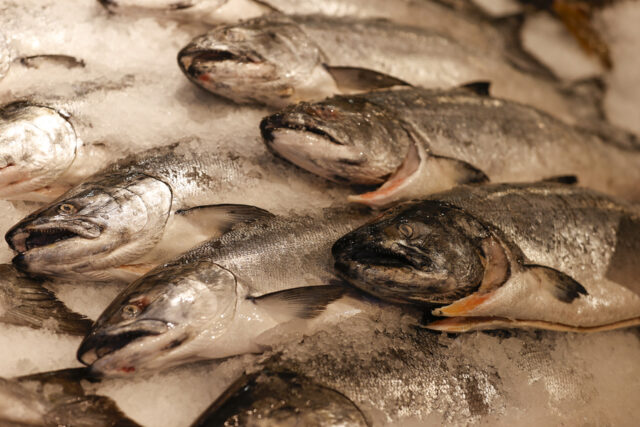 O aquecimento das águas ameaça o abastecimento de frutos do O aquecimento das águas ameaça o abastecimento de frutos do mar