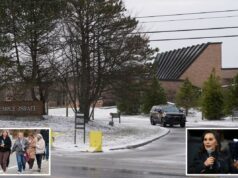 O ataque anti-semita à pré-escola da sinagoga poderia ter resultado ‘como Sandy Hook’, diz o governo de Michigan O ataque anti-semita à pré-escola da sinagoga poderia ter resultado 'como Sandy Hook', diz o governo de Michigan